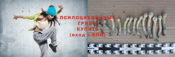 прущий лед Вязники