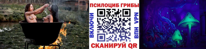 Псилоцибиновые грибы мухоморы  даркнет сайт  Карабулак 